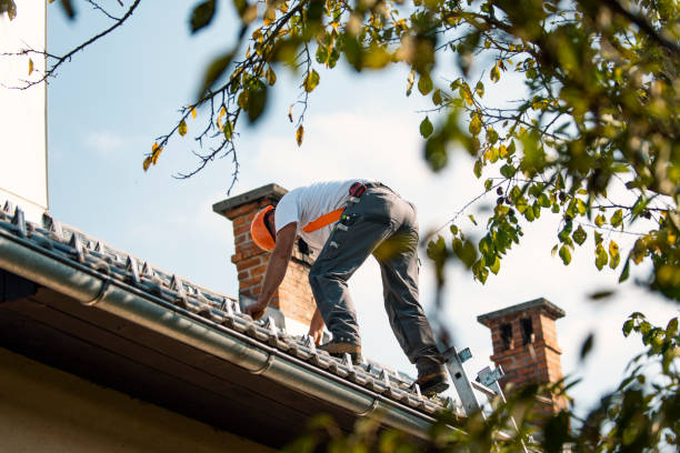 Roof Coating Services in Bowling Green, MO