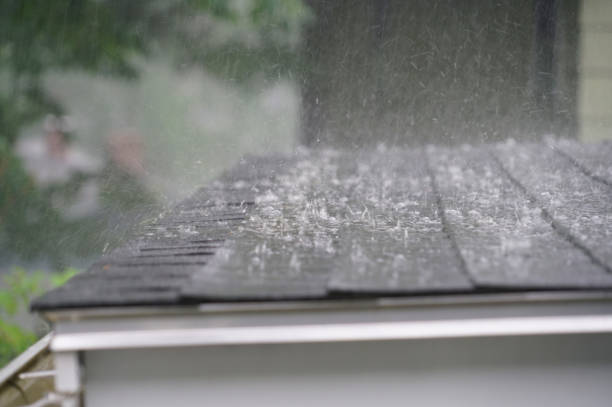 Best Rubber Roofing (EPDM, TPO)  in Bowling Green, MO